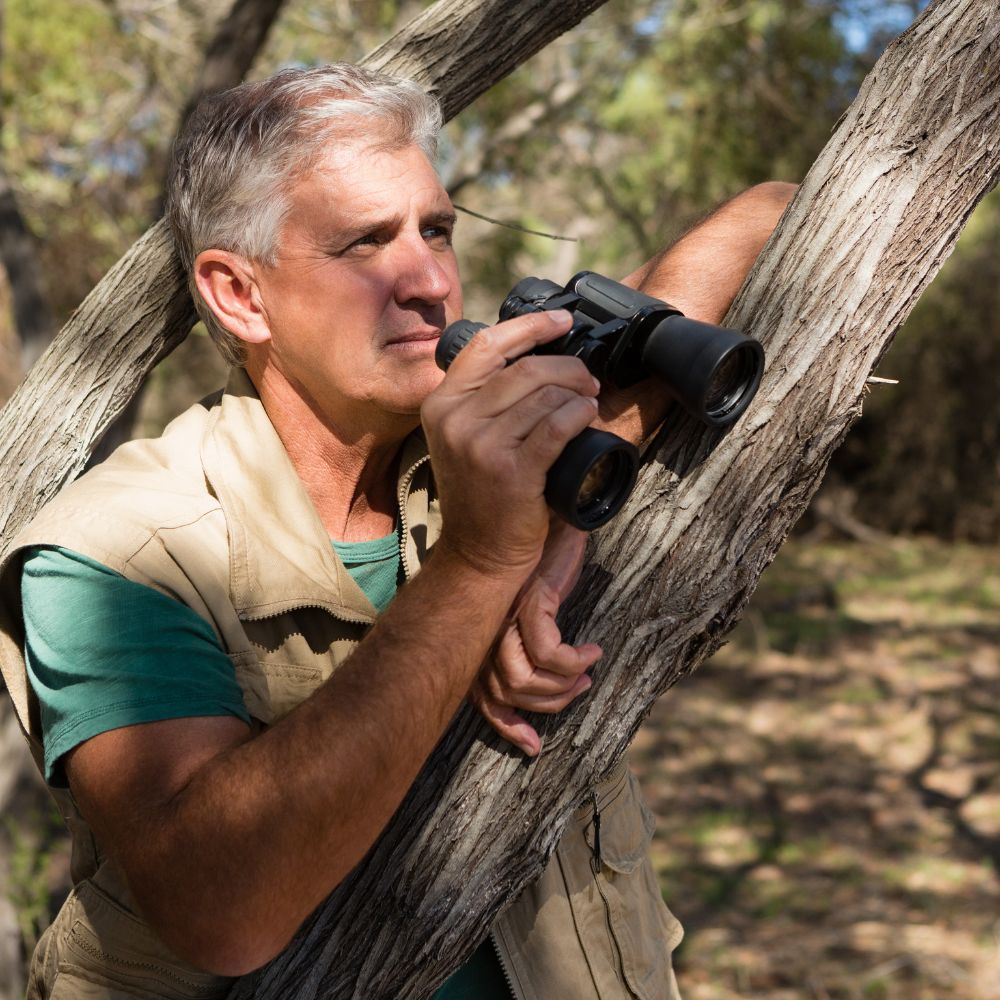 Man with binoculars perched in a tree, likely observing wildlife